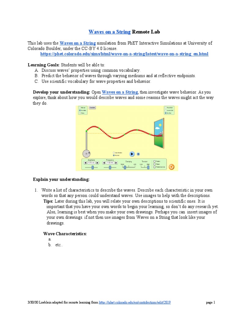 Waves on a String Remote Lab Guide | PDF | Waves | Damping