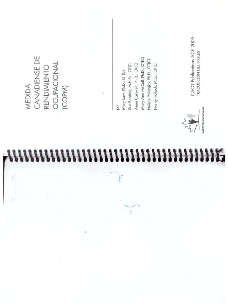 Copm Manual Pdf – The Canadian Occupational Performance Measure – YAXN