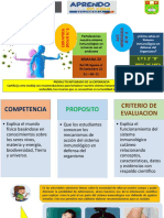 Fortalece tu sistema inmunológico