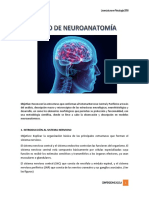 CURSO DE NEUROANATOMÍA - 1°parcial