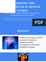 Memoria humana aspectos