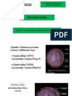 Influenza Equina