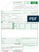 510 Declaracion de Importacion Simplificada
