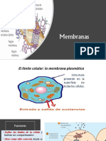 Tema 5. Membrana Celular (Lipidos y Proteinas)