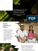 Los Indigenas en El Mexico Actual