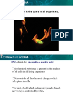 DNA Structure Is The Same in All Organisms.: Key Concept