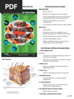 Skin Infection