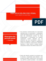 Principios Procesales 2021-Ii