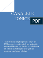 Canalele Ionice