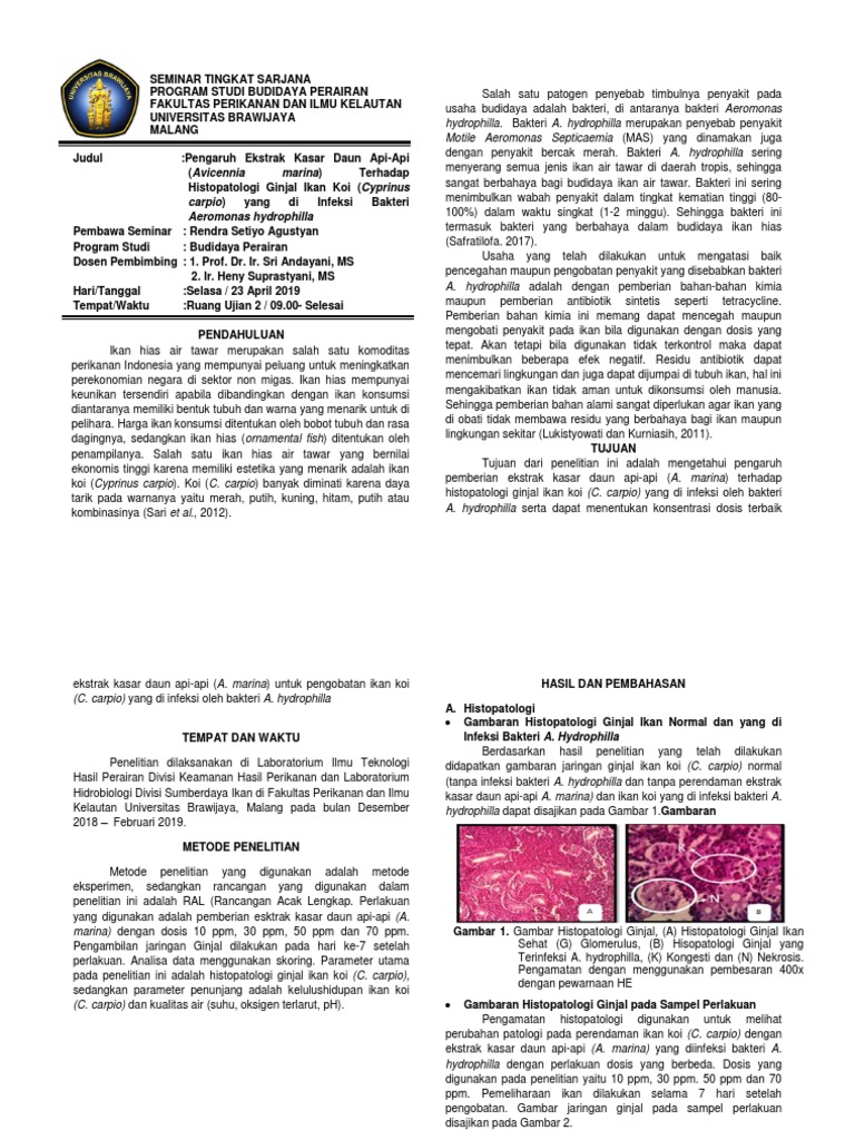 Ekstrak Daun Api-Api untuk Ikan Koi | PDF