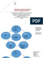 Ciclo Infeccioso