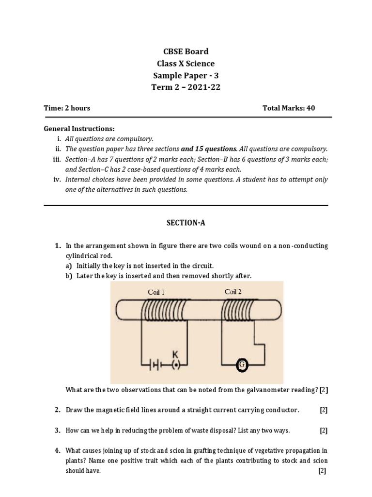 Science Sample Paper Class 10 Term 2 PDF Carbon Fullerene