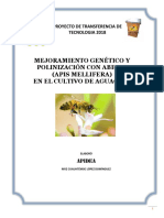 Mejoramiento Genetico y Polinizacion Con Abejas, en El Cultivo de Aguacate