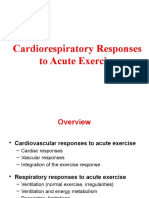 Cardiorespiratory Responses To Acute Exercise