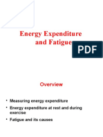 Energy Expenditure and Fatigue