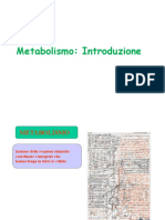 09.Metabolismo