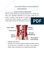 Referat Exercitii Pentru Dezvoltarea Musculaturii Abdominale