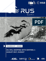 Oil Spill Mapping With Sentinel-1