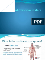 The Cardiovascular System