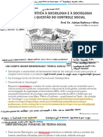 TSC - Aula 1. Introdução À Teoria Social Contemporânea