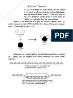 Surface Tension Experiment
