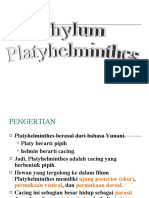 Plathyhelminthes