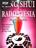Feng Shui &amp; Radiestesia