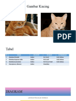 Tugas ICT 3 - Membuat Diagram