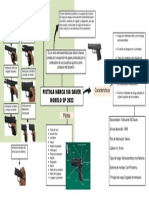 19 Exponer Infografia de Las Caracteristicas de La Pistola Sig Sauer