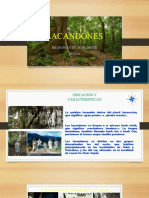 Lacandones Diapositivas