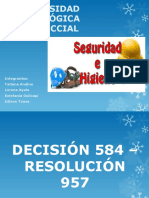 Seguridad Decisión 584-Resolución 957