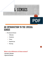 Special Senses3