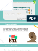 Conceptualización sistemática HSI