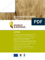 Newsletter Energie Si Biomasa 27 - RO