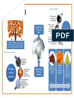 Infografia Del Otoño