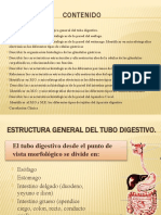 Presentación Seminario Digestivo.