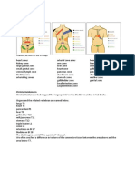 Organ Zones: Thanking AEVNM For Use of Image