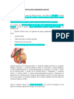 Patologia Quirurgica Biliar Resumen