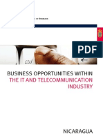 Business Opportunities Within The It Industry