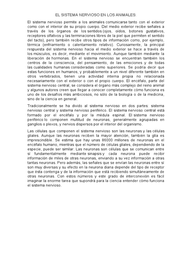El Sistema Nervioso en Los Animales | PDF | Sistema nervioso | Neurona