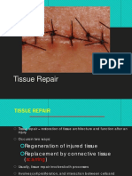 Tissue Repair