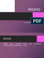 RADANG 