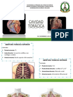 Visceras Del Torax