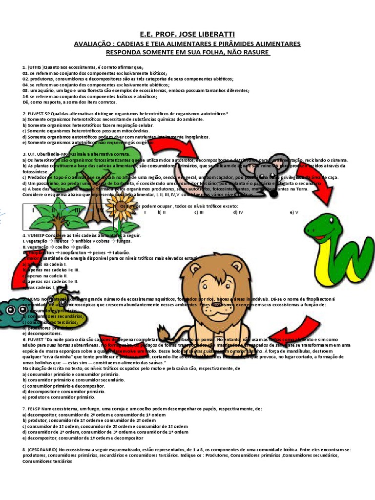 A cadeia alimentar apresenta três ramificações principais: produtores,  consumidores e decompositores. As relações alimentares entre os organismos  ajudam a equilibrar o ecossistema! #cadeiaalimentar  #cadeiaalimentaraquática #limno #limnologia #algae ..., image size:768x1024