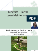 Turfgrass Part II