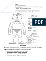 Ciencias, Cuerpo Humano