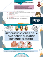 Recomendaciones de La Oms Sobre Cuidados Durante El Parto