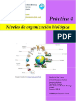 BIO-018. Practica 4 - Niveles de Organizacion de Los Organismos Vivos