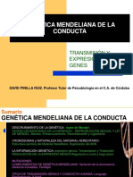 2 GENETICA MENDELIANA DE LA CONDUCTA parte 1ª 2021
