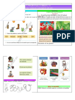 Actividades para La Semana 2 Proyecto 7